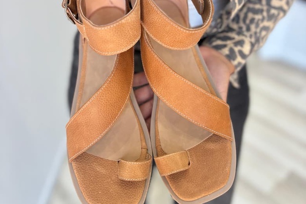 COMPAÑÍA DE ZAPATOS